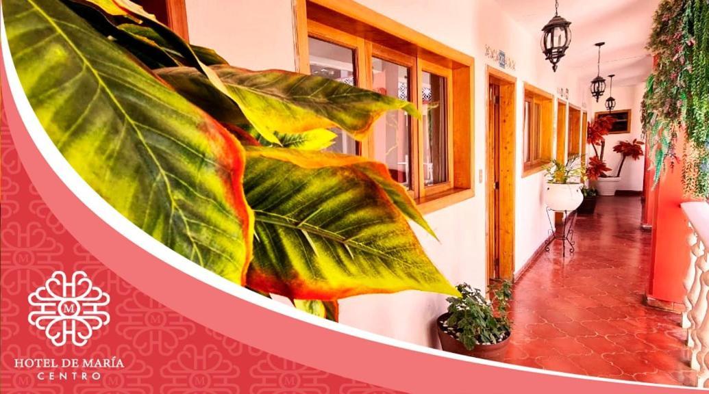 Hotel De Mariacentro San Cristóbal de Las Casas Exteriér fotografie